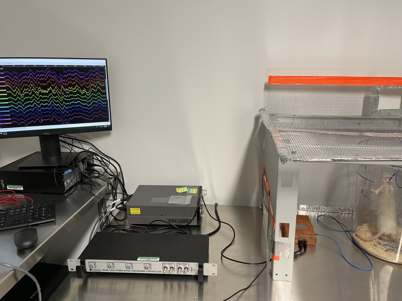 Laser speckle imaging lab setup