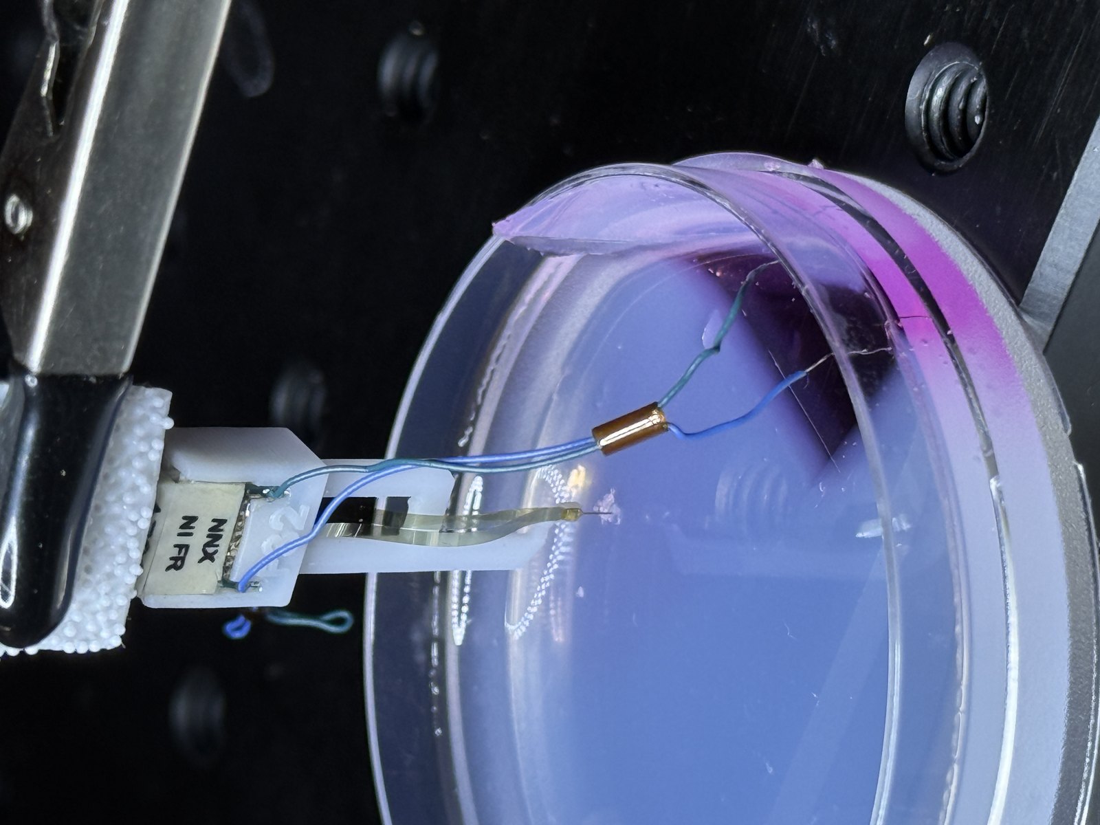 Laboratory optical imaging equipment