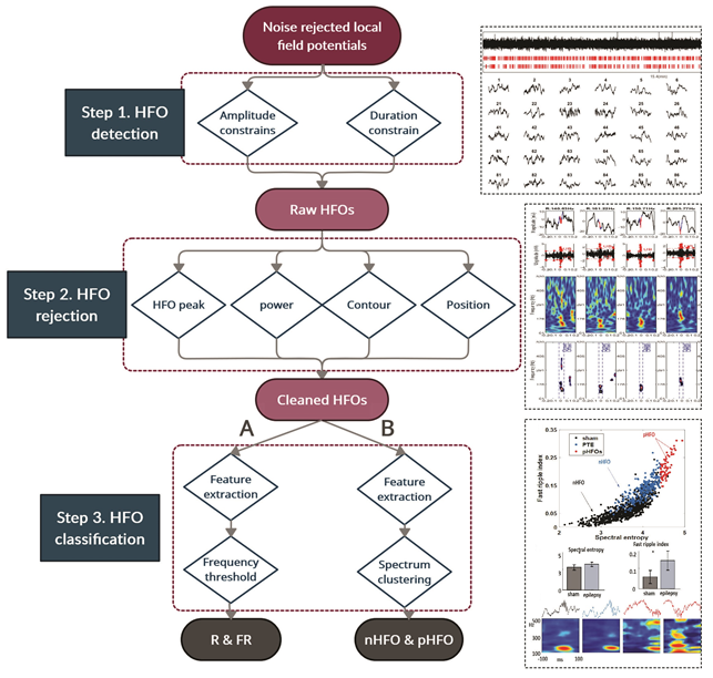 Computational brain network analysis
